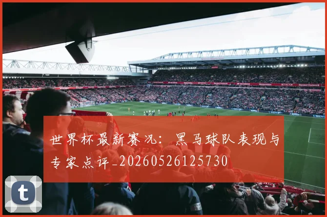 世界杯最新赛况:黑马球队表现与专家点评_20260526125730