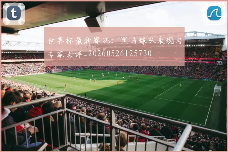 世界杯最新赛况:黑马球队表现与专家点评_20260526125730
